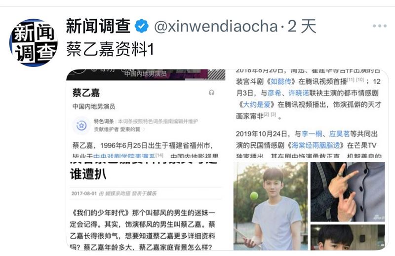 X平台部落客「新聞調查」更列出多項蔡乙嘉（圖）恐為蔡奇私生子的理由，包含長相神似、家庭背景神秘、出道資源過於優渥。（圖／翻攝自X平台「新聞調查」）