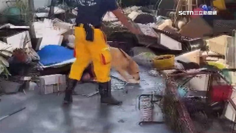 高雄5隻搜救犬加入救災