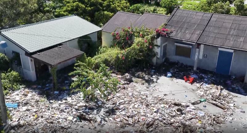 家門口瞬間變成垃圾場，數量猶如鱗片般難以估計，全被曬得發出難聞惡臭。（圖／疣豬飛行中隊提供）