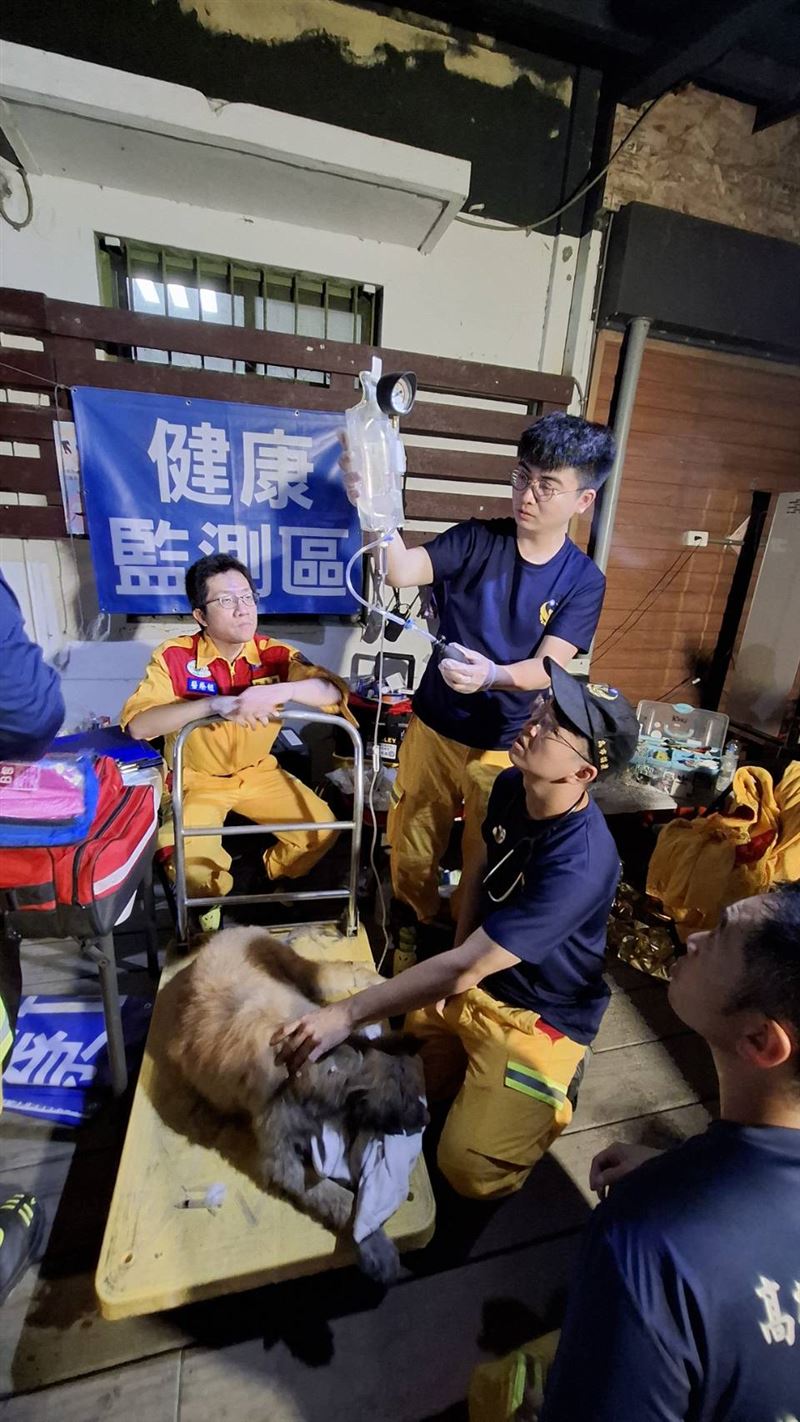 狗狗身陷泥濘，全身毛都被染色了。（圖／翻攝畫面）