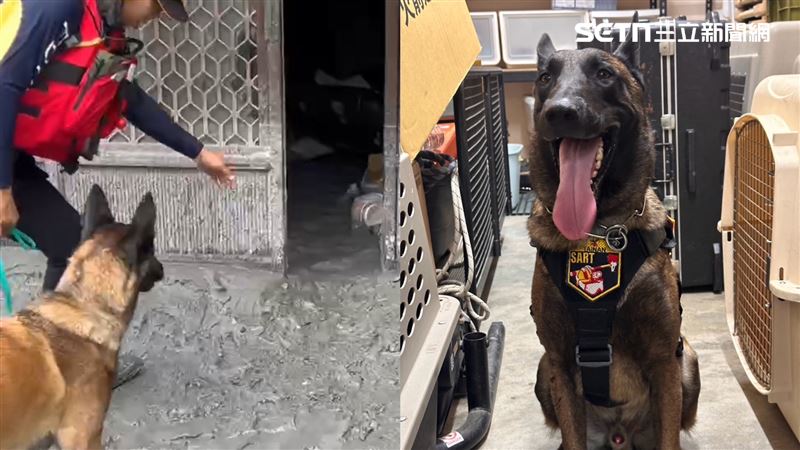 0裝備、赤腳穿梭災區！靠100萬倍嗅覺救人