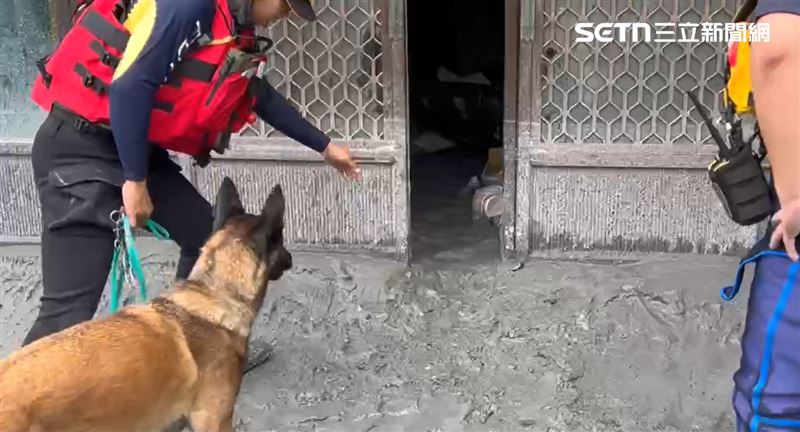 「Dota」是比利時牧羊犬，已服役一年多，這次是第二度前往花蓮協助救災。（圖／翻攝畫面）