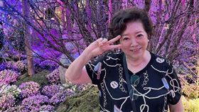 陳淑芳演藝經歷超過一甲子。（圖／翻攝自陳淑芳臉書）