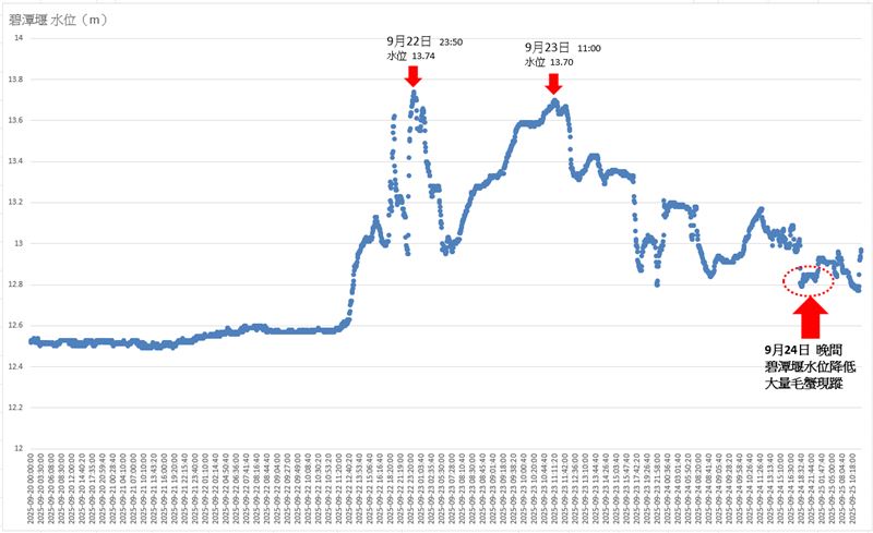 暴雨後的高流量會促使毛蟹利用洪水成群上溯。（圖／新北市水利局）
