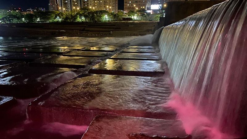 大軍又來了!牠們「三度擠爆溪流」超壯觀