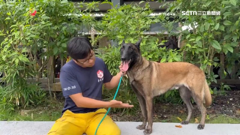 各縣市特搜隊的搜救犬也跟著前往花蓮支援