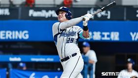 中職36年例行賽，富邦悍將外野手申皓瑋代打，敲出左外野深遠飛球出局。（圖／記者劉彥池攝影）