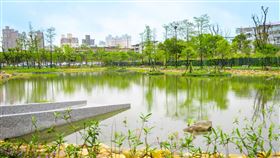 新北市新店區綠湖公園生態池。（圖／資料照、新北市府提供） 
