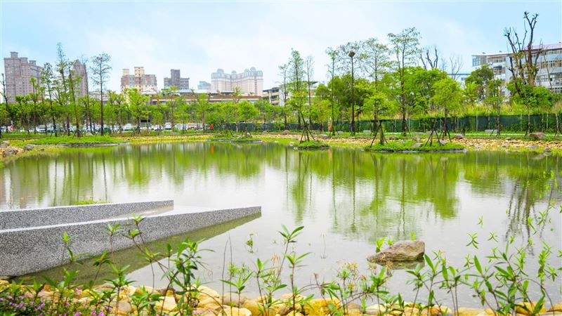 新北市新店區綠湖公園生態池。（圖／資料照、新北市府提供）