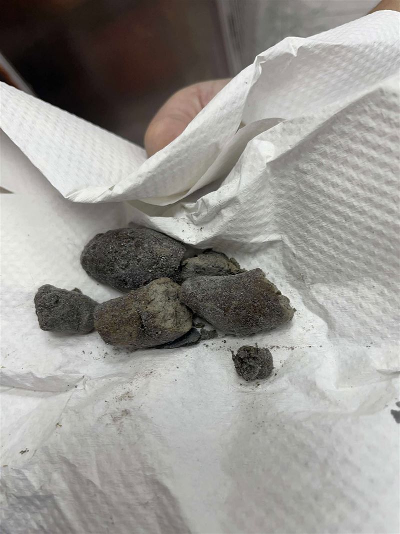 狗狗送醫時相當虛弱，經醫護照顧逐漸恢復元氣，但受困時疑喝下泥水，排泄物混有泥沙，目前仍持續治療中。（圖／樂悠動物醫院授權提供）