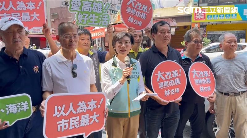林岱樺將競選看板掛在瑞豐夜市附近，本次以「護國三角」作為主軸。（圖／記者洪正達攝影）