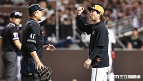 中職36年例行賽，統一獅總教練上場和主審激烈討論。（圖／記者劉彥池攝影）