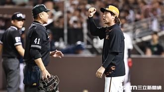 一球讓2位教頭抗議　獅鷹觸身球出棒爭議