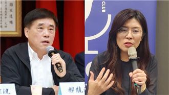 藍為選黨魁鬧分裂　他：恐永遠沒能力贏綠