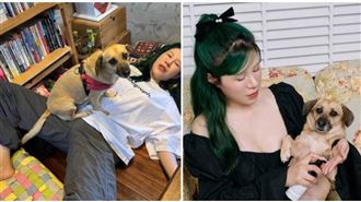 丹妮婊姐見毛小孩受災　急採買：今天送去