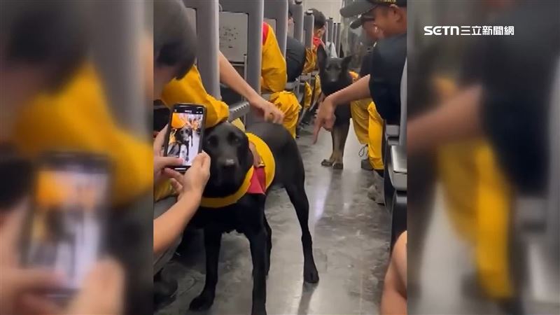 搜救犬搭台鐵回家　民眾同車搶拍萌樣