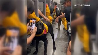 搜救犬搭台鐵回家　民眾同車搶拍萌樣