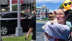 野生陳美鳳被捕獲　直擊愛犬坐保時捷副駕