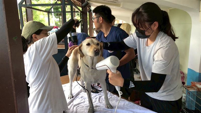 花蓮縣消防局特搜大隊搜救犬Hero與Fancy。（圖／翻攝畫面）