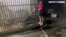 愛犬在鐵籠裡遭刺殺身亡，飼主家人沉痛清洗現場。（圖／記者朱俊傑攝影）