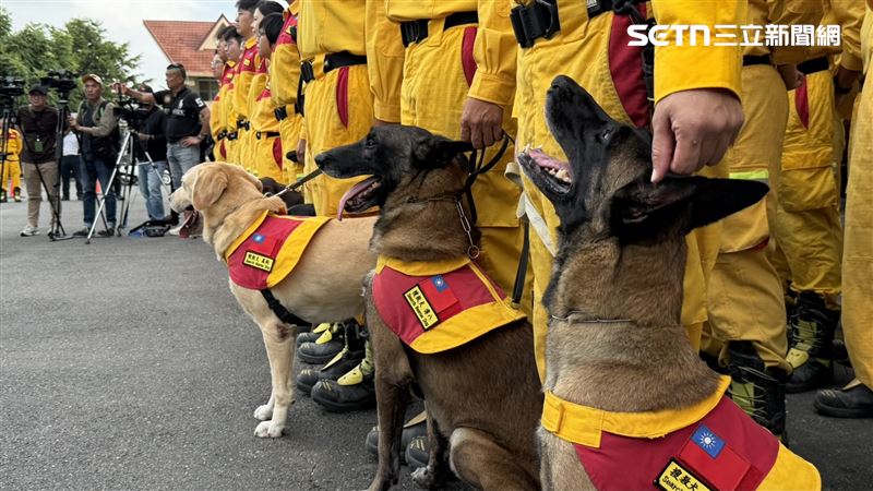 陳其邁親手送上玩具與零食慰勞5隻搜救犬，肯定牠們在災區日夜馳援的努力。（圖／翻攝畫面）