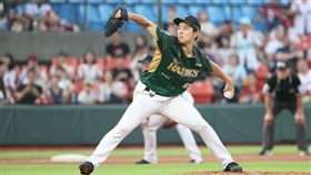 台鋼雄鷹日籍投手櫻井周斗。（圖／台鋼雄鷹提供） 