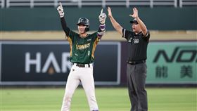 台鋼雄鷹曾子祐。（圖／台鋼雄鷹提供）