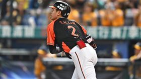 統一獅林子豪。（圖／統一獅提供） 