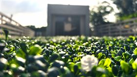寵物墓園,約定地,生命園區