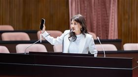 民進黨立委林楚茵。（圖／翻攝自林楚茵臉書）