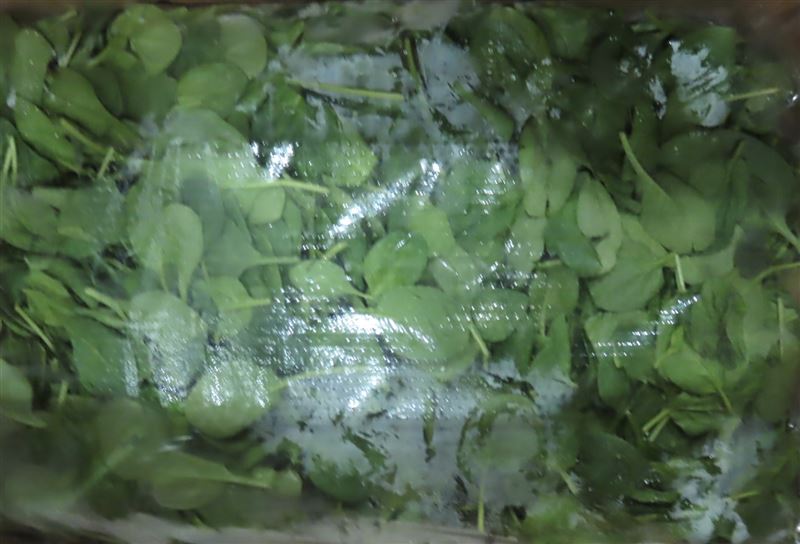 美國出口的「鮮菠菜」重金屬超標。（圖／食藥署提供）