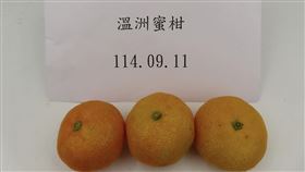 圖／食藥署提供