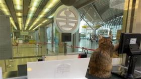 台中車站、喵站長、鏟子超人