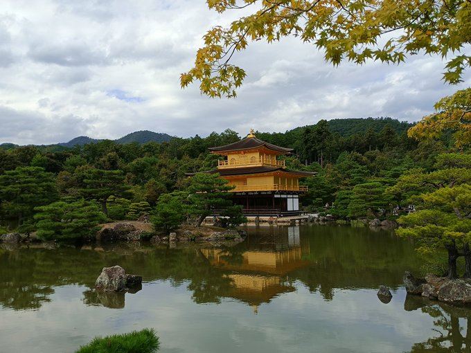 日本京都名勝金閣寺，實地到訪常常滿是外國觀光客。日圓貶值造成的大批海外遊客，造成日本面臨「觀光公害」問題，無形中推高當地排外情緒。（圖／翻攝自X平台 @troytcarlson）