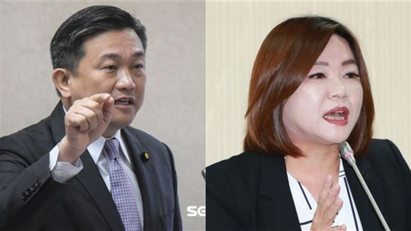 馬文君、王定宇當選外交國防委員會召委。（組合圖／皆資料照）