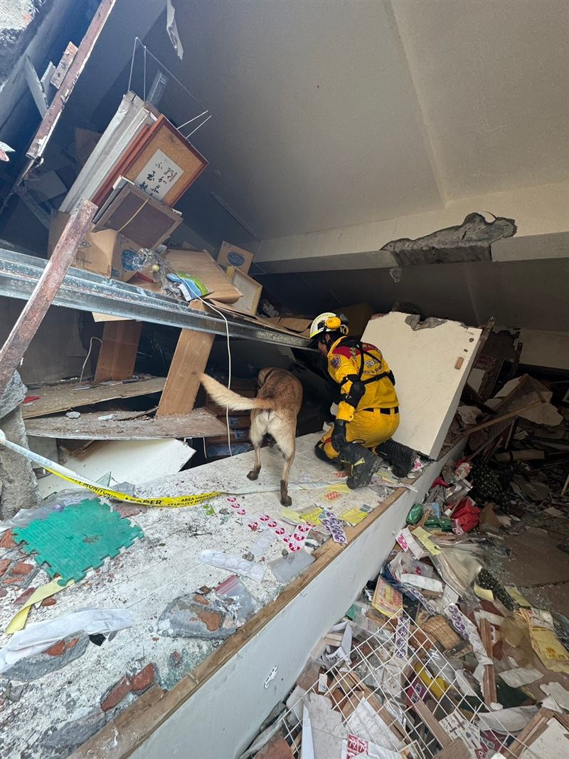 領犬員與搜救犬DOTA穿梭在災區，執行搜救任務。（圖／消防局提供）