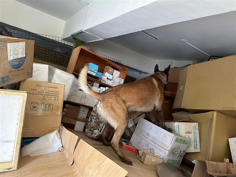 領犬員及搜救犬DOTA配合支援花蓮救災。（圖／消防局提供）