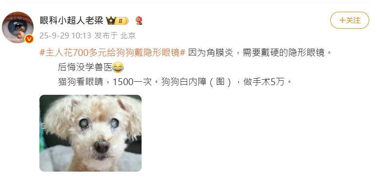飼主澄清狗狗戴隱形眼鏡是治療用途，並非為了美觀或炫耀。（圖／翻攝自微博）