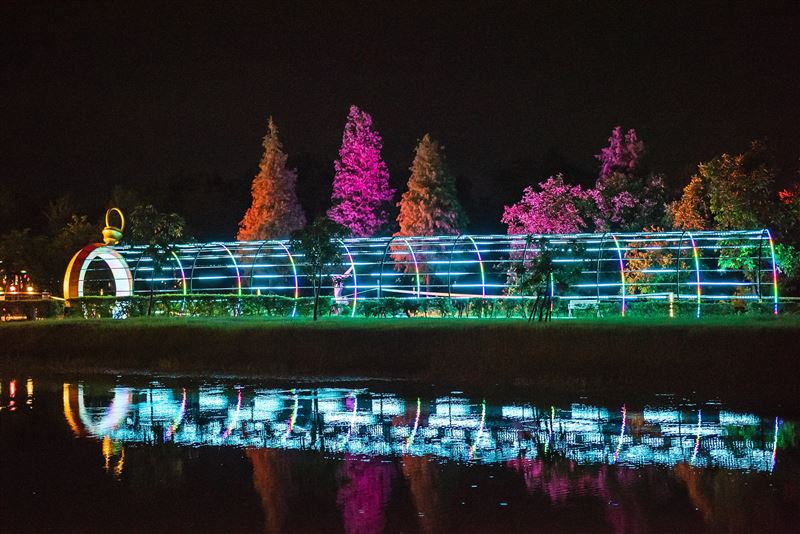 光織影舞 10/4北香湖登場，奇幻入口帶您走進光影夢境。（圖／嘉義市政府提供）