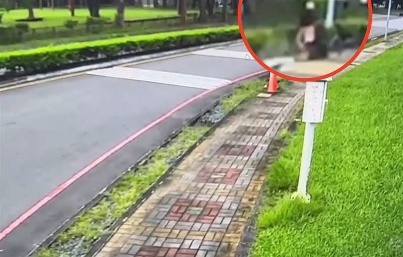 邱姓男大生自撞後摔車，傷重不治。（圖／翻攝畫面）