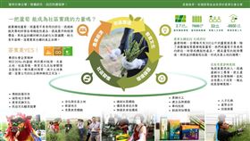 崙禾社企推廣種植蘆筍，實現智農創生、農業永續。（圖／櫃買中心）