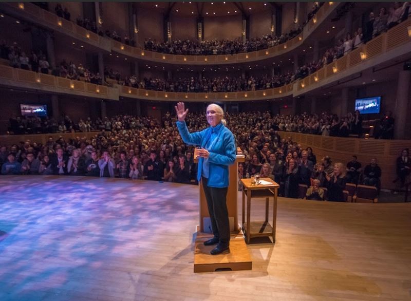 珍古德91歲過世！她6月才來臺灣演講，開場說受泰山小說啟發愛上非洲，笑怨泰山娶錯珍引爆萬人大笑。（圖／臺灣珍古德協會提供 Photo courtesy of Catalin Mitrache）