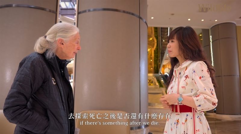 珍古德2025年６月曾告訴三立主播白心儀下一段旅程：死亡。如今她已「啟程出發」，全球不捨落淚。（圖／翻攝自三立SET Wildlife《來自珍古德的一封信》專題）