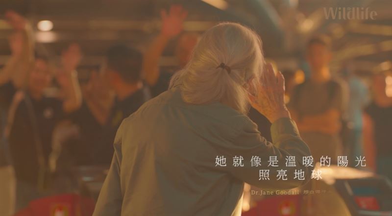 珍古德2025年６月曾告訴三立主播白心儀下一段旅程：死亡。如今她已「啟程出發」，全球不捨落淚。（圖／翻攝自三立SET Wildlife《來自珍古德的一封信》專題）