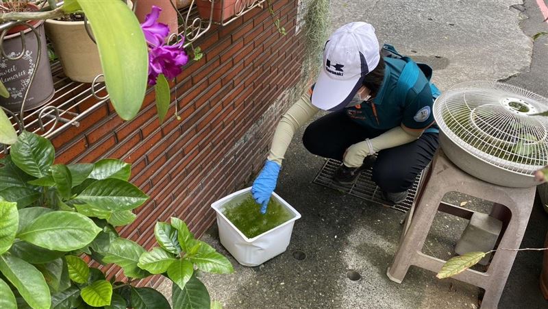 北市爆今年首例本土登革熱　居住地曝光