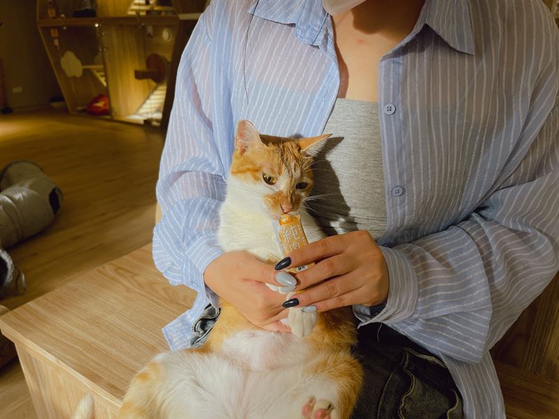 南昌動保教育園區打造友善、專業的認養環境。（圖／牧羊人集團提供）