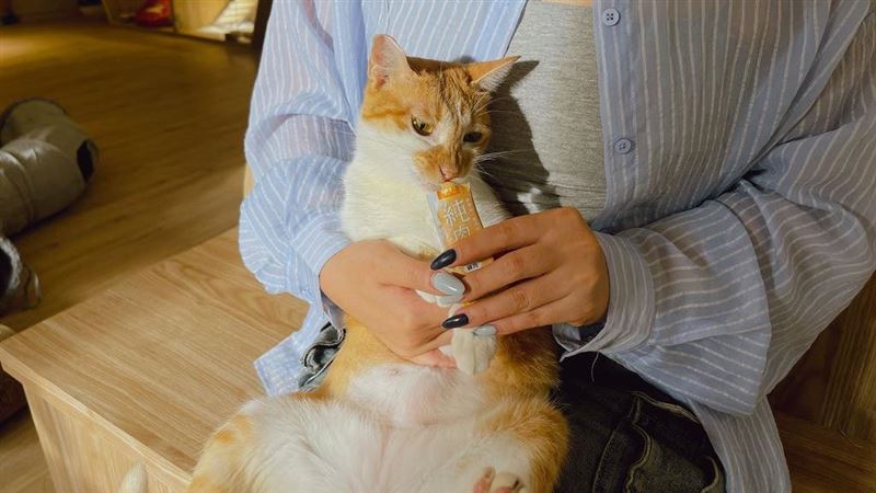 首座動保教育園區　這收容所成幸福轉運站