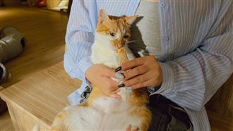 首座動保教育園區　這收容所成幸福轉運站