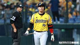 中職36年例行賽，中信兄弟左外野手詹子賢打成本壘後方不營養飛球出局。（圖／記者劉彥池攝影）