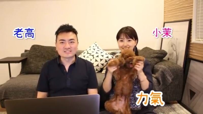 老高與小茉的11歲愛犬力氣罹患淋巴癌，為了全心陪伴牠對抗病魔，夫妻倆決定即日起無限期停更頻道。（圖／翻攝自老高與小茉YouTube）